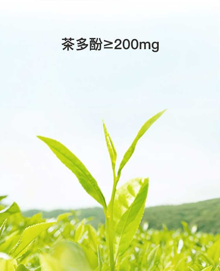 full-case-yuanqi-forest-burning-tea-unsweetened-strawberry-jasmine-oolong-tea-500ml15-bottles-case-5
