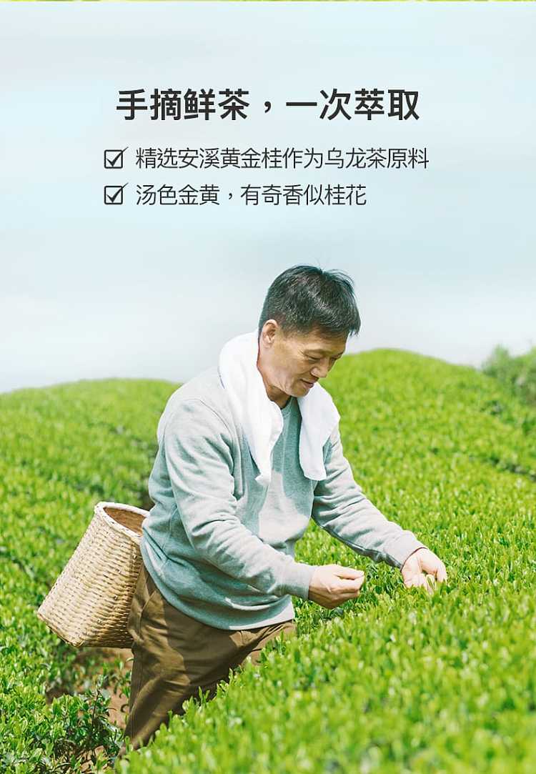 full-case-yuanqi-forest-burning-tea-unsweetened-strawberry-jasmine-oolong-tea-500ml15-bottles-case-6