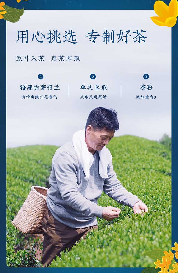 full-case-genki-forest-burning-tea-golden-laurel-oolong-tea-500ml15-bottles-case-5