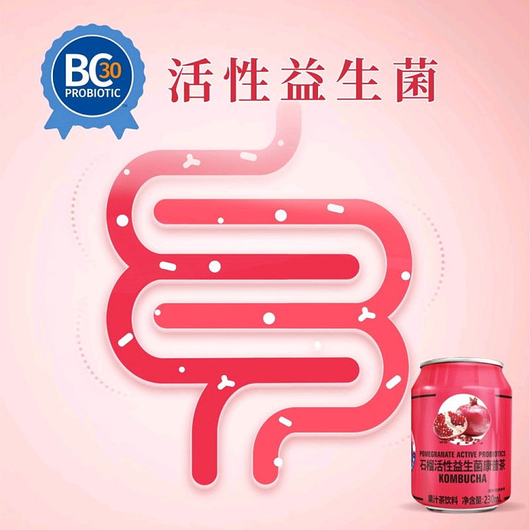 exclusive-to-australia-sams-exclusive-pomegranate-active-probiotic-kampo-tea-230ml20-bottles-2