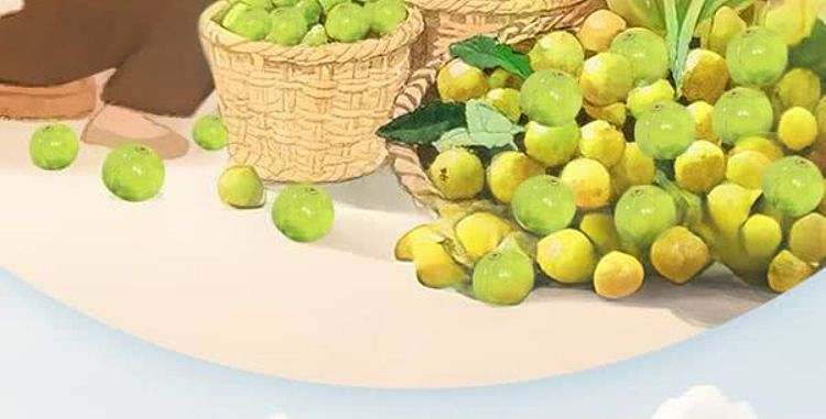 sams-exclusive-drinksba-yellow-peeled-mandarin-sparkling-juice-tea-260ml20-6