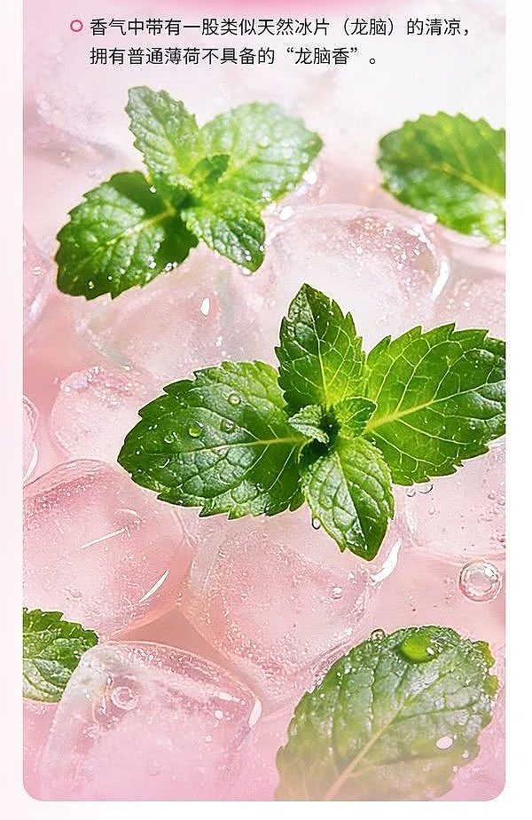 australia-wide-exclusive-sams-club-exclusive-drinksba-pink-lemon-mint-mixed-juice-drink-260-ml-x-18-bottles-3