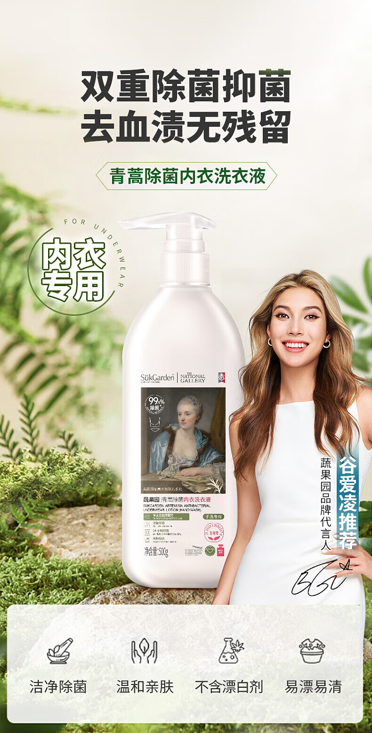 vegetable-garden-artemisia-bacteria-removing-underwear-laundry-detergent-500g-1