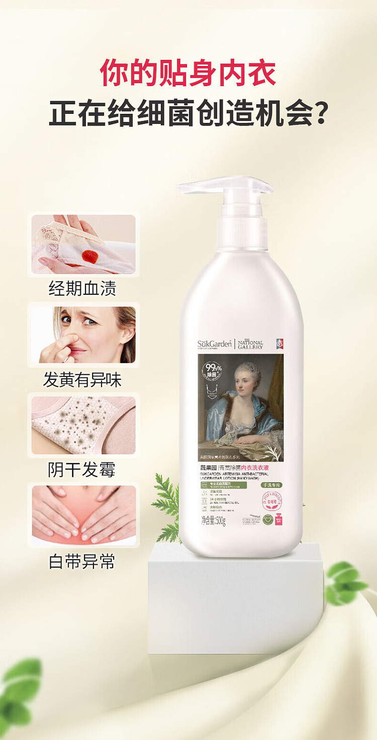 vegetable-garden-artemisia-bacteria-removing-underwear-laundry-detergent-500g-2