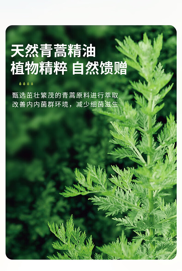 vegetable-garden-artemisia-bacteria-removing-underwear-laundry-detergent-500g-5