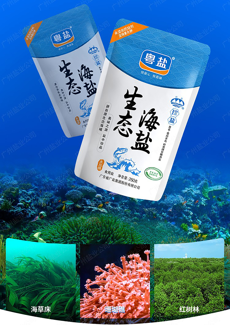 guangdong-salt-uniodized-eco-sea-salt-table-salt-250g-8
