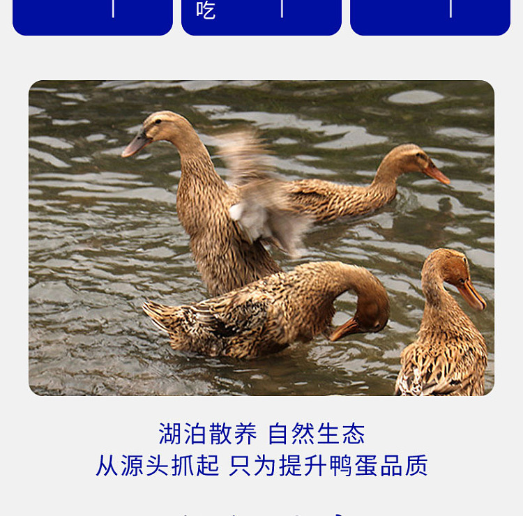 san-guan-liu-wharf-roasted-duck-egg-with-mud-420g-4