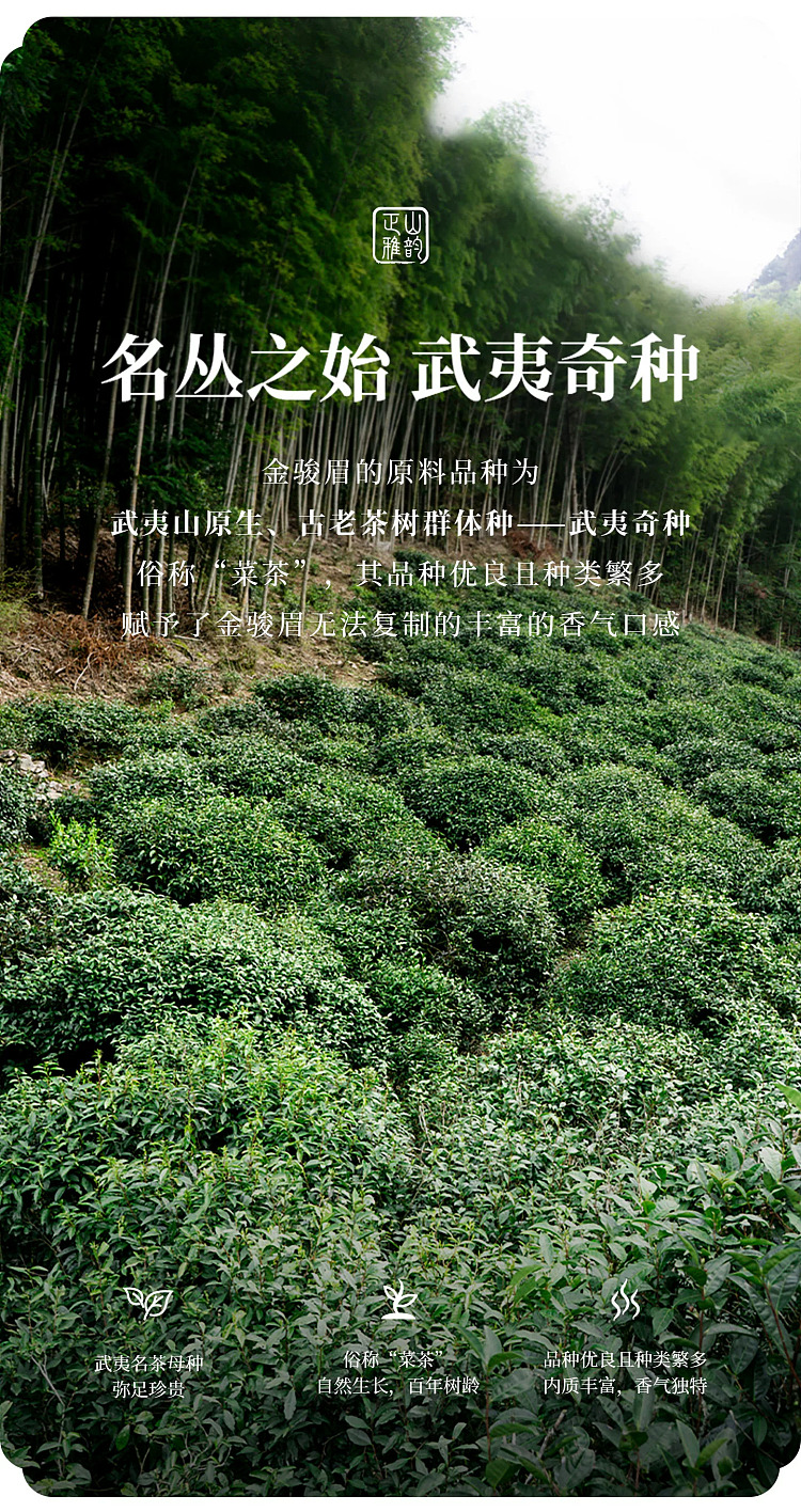 zhengshantang-specially-crafted-jin-junmei-black-tea-premium-grade-classic-can-50g-17