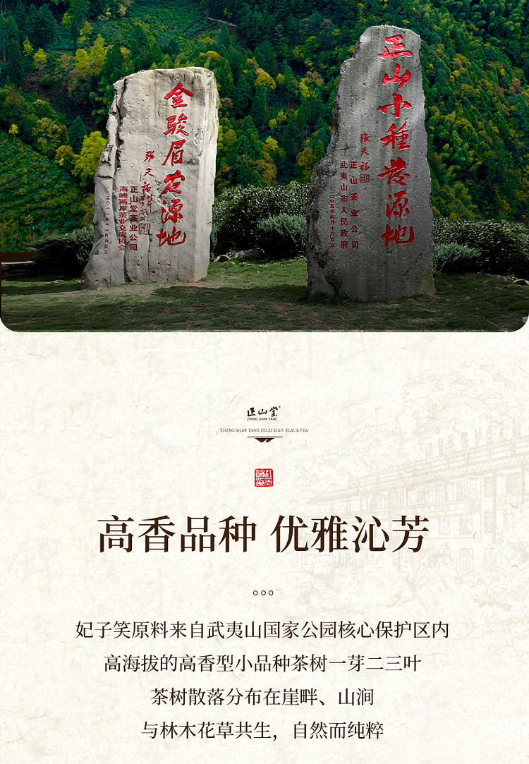 zhengshantang-feizi-xiao-black-tea-premium-grade-classic-can-50g-19