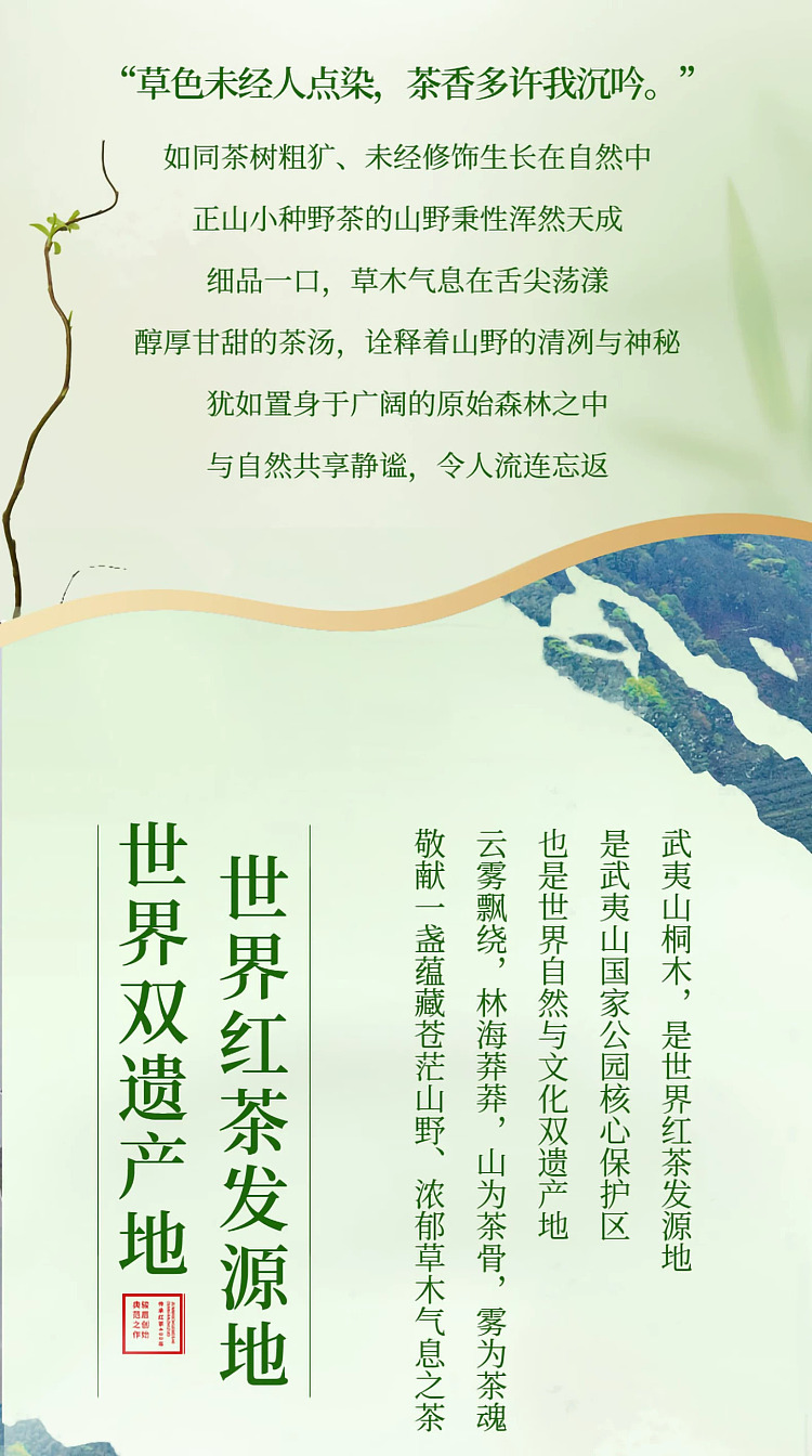 zhengshantang-zhengshan-xiaozhong-wild-tea-premium-black-tea-classic-can-50g-18
