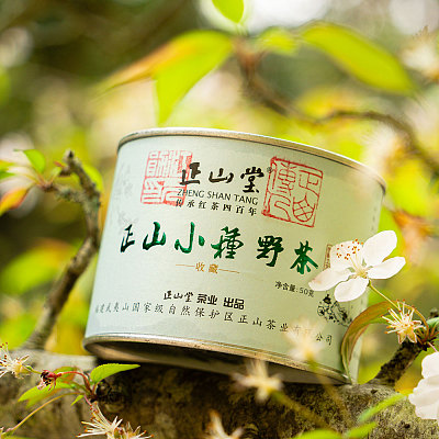 正山堂 正山小种野茶 特级红茶经典罐装 50g
