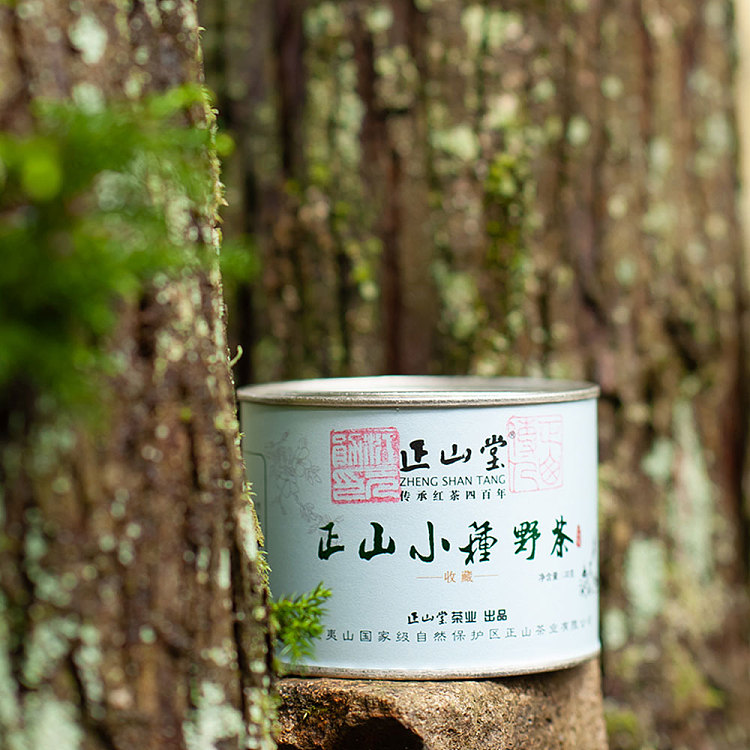 zhengshantang-zhengshan-xiaozhong-wild-tea-premium-black-tea-classic-can-50g-3