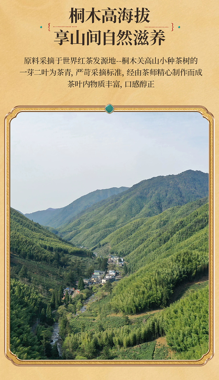 zhengshantang-zhengshan-xiaozhong-premium-black-tea-classic-can-100g-13