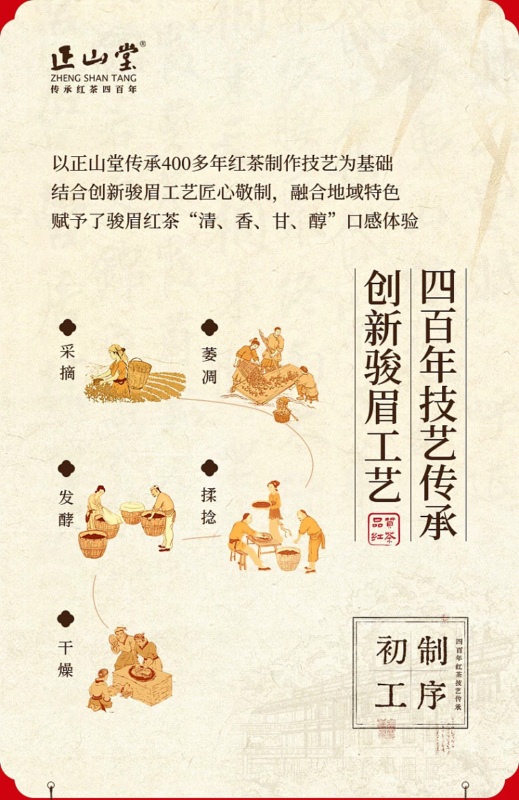 zhengshantang-golden-grain-single-bud-black-tea-classic-can-50g-11