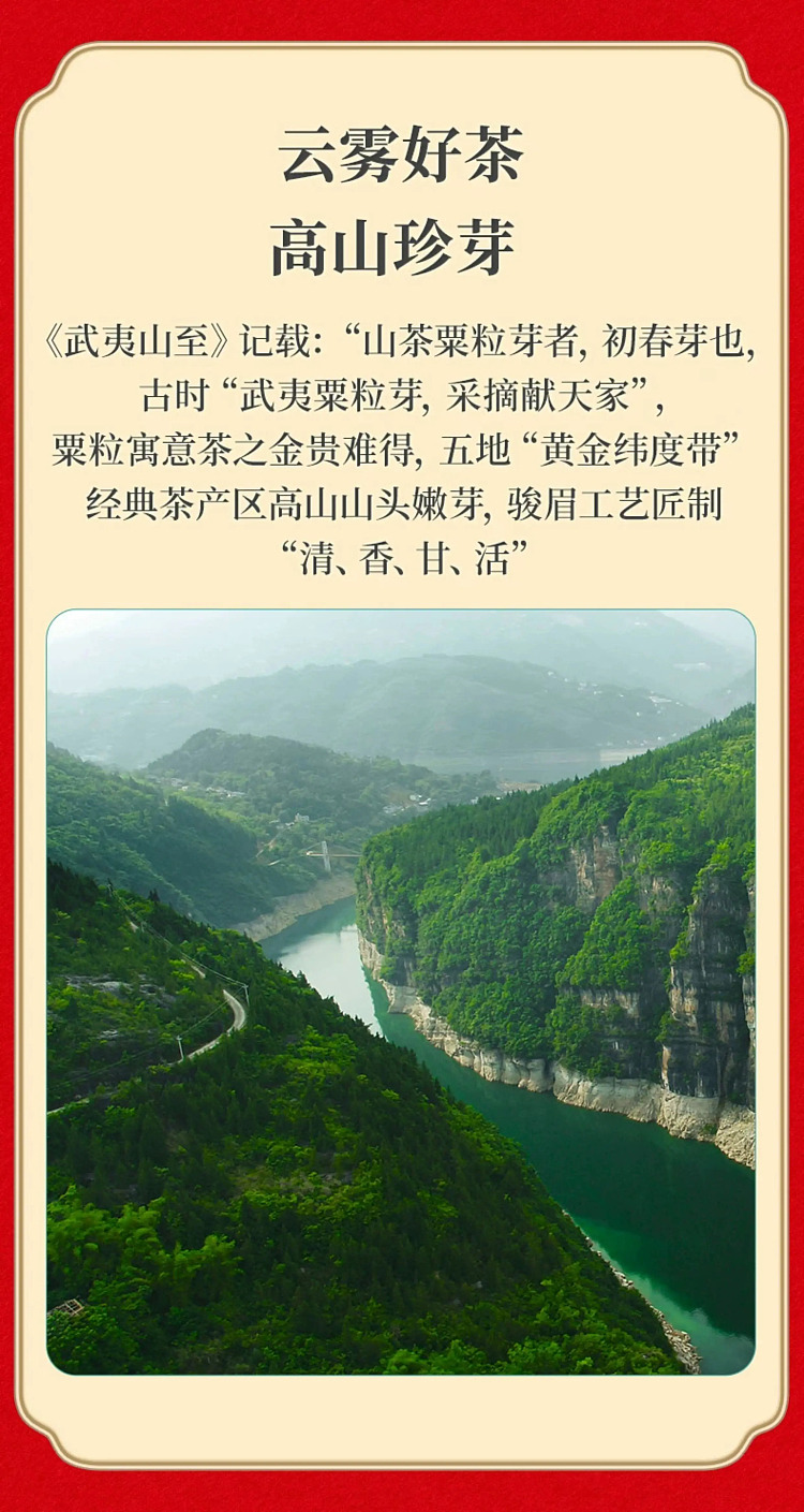 zhengshantang-golden-grain-single-bud-black-tea-classic-can-50g-8
