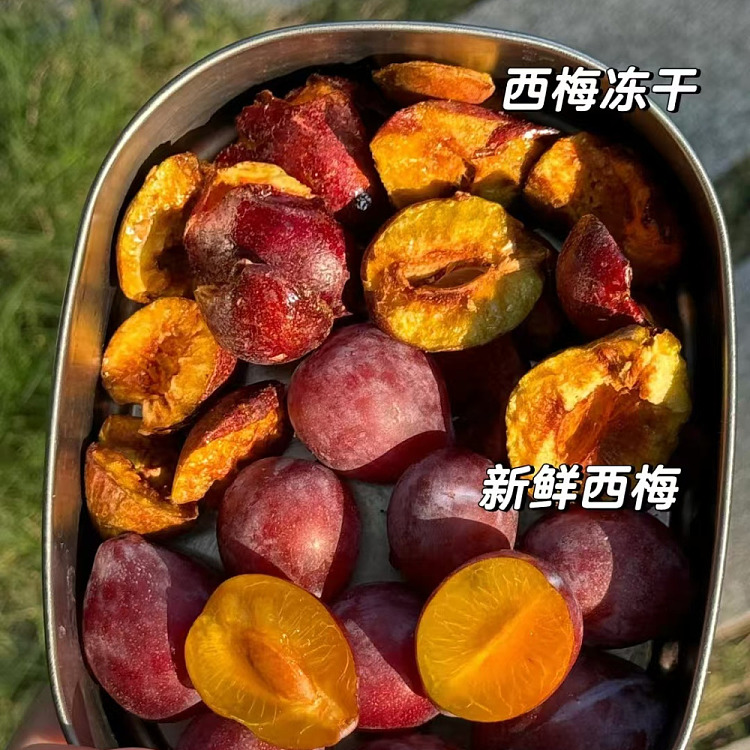 xinjiang-tumxuk-specialties-five-zero-regiment-green-sugar-heart-low-temperature-freeze-dried-prunes-40g-3