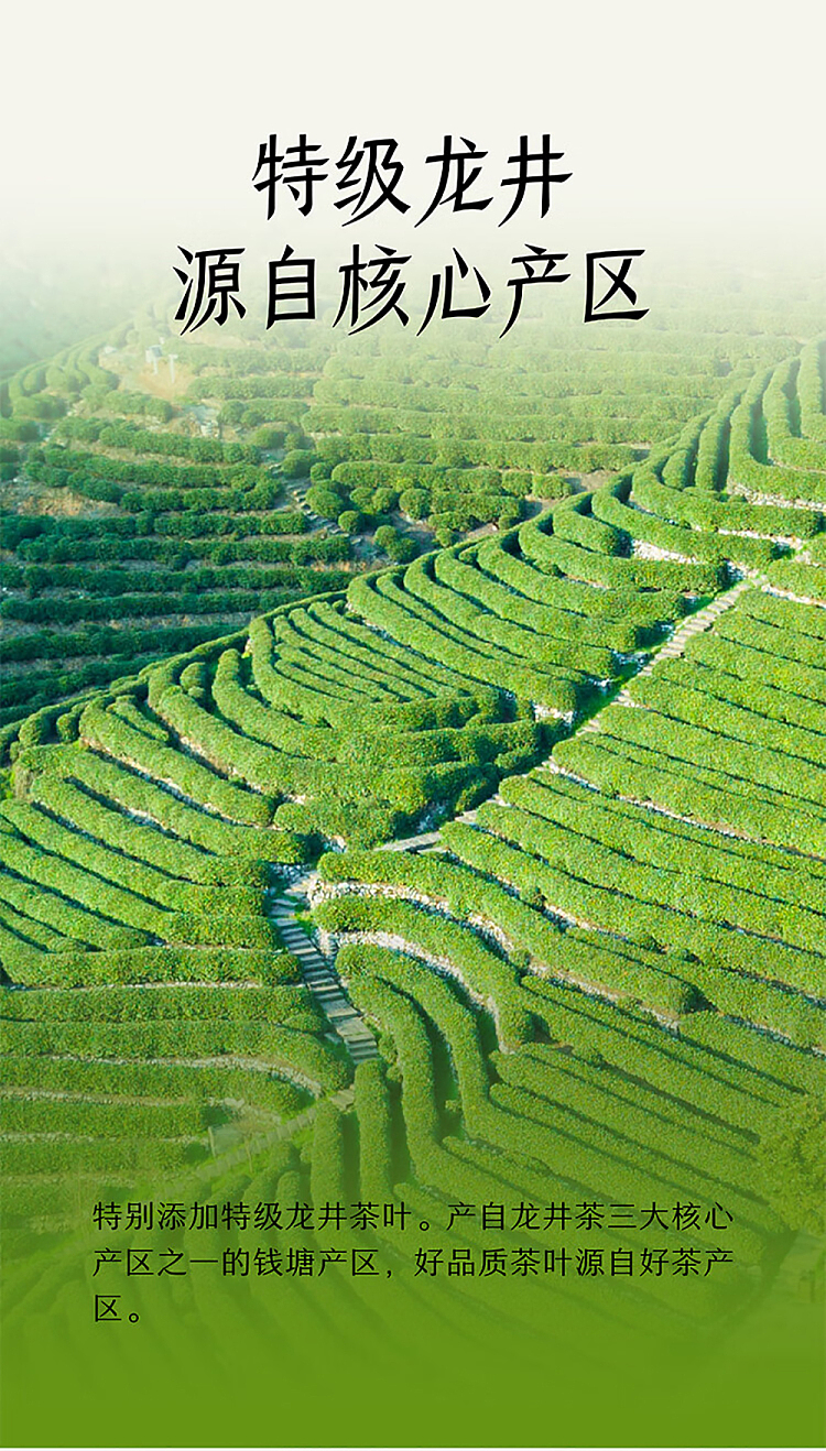 nescos-tea-golden-laurel-longjing-tea-500ml15-bottles-case-5