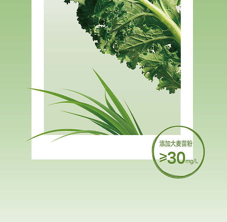 walmarts-tea-kale-barley-green-juice-jasmine-tea-1l-5