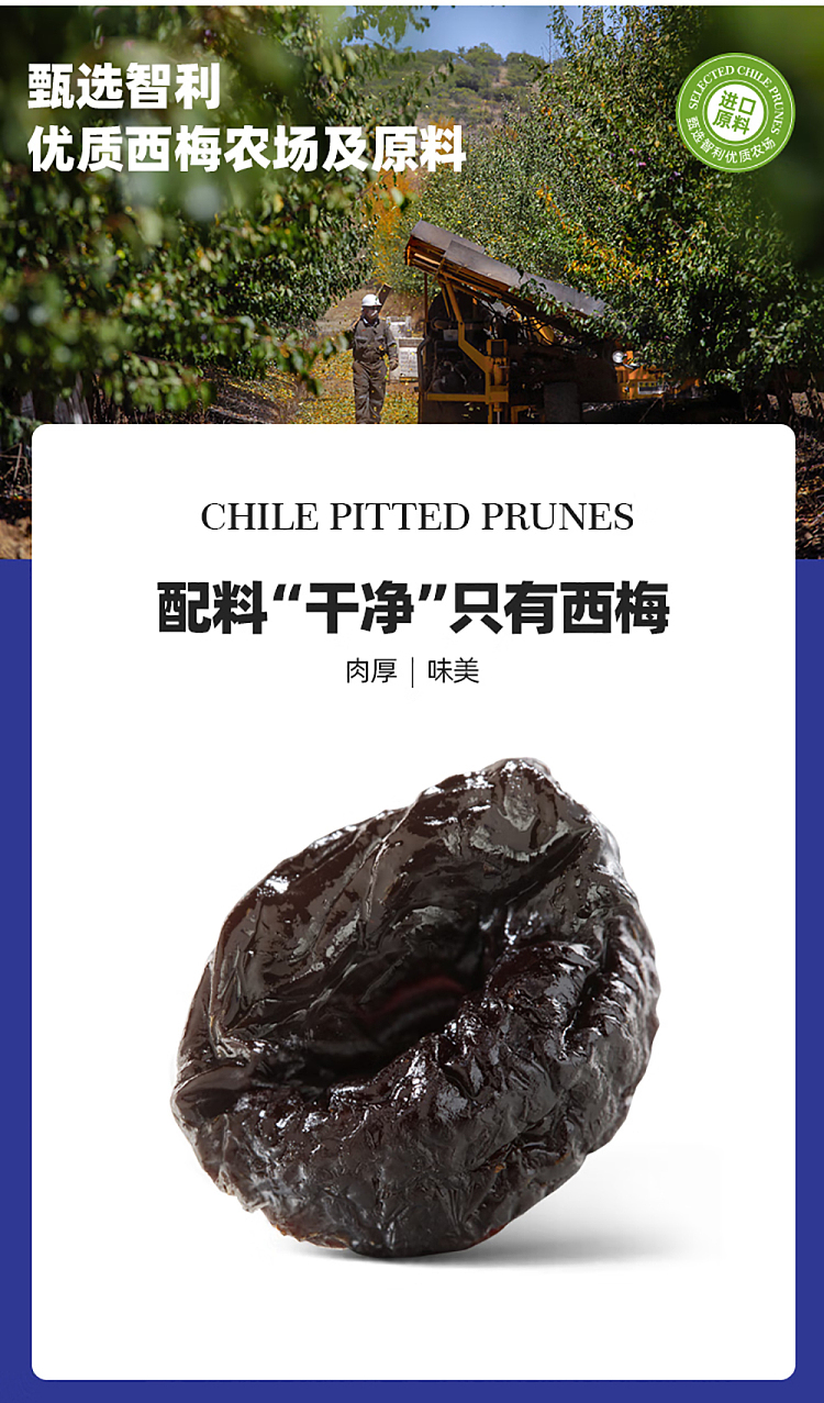 sams-exclusive-mrdonny-chilean-prunes-800g-2