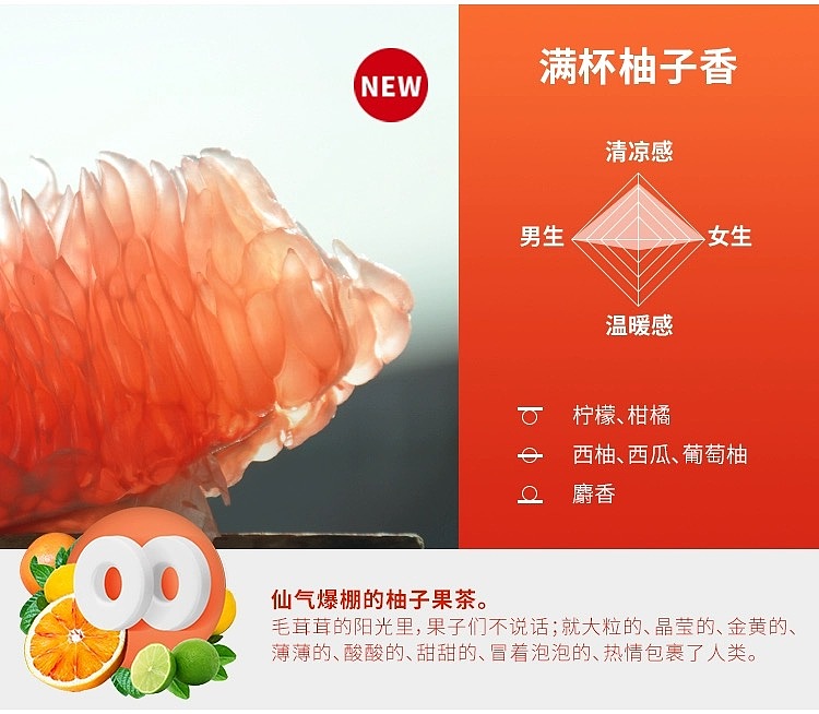 dailylab360-car-fragrance-tablet-refill-citrus-think-brew-tea-2-tablets-included-7