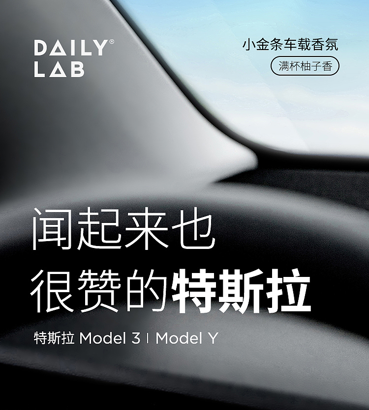 dailylab-little-gold-bar-series-car-fragrance--tesla-model-3y-full-cup-grapefruit-fragrance-gold-pack-of-two-1