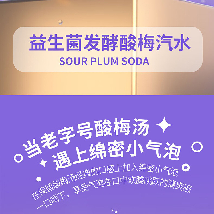deyuan-sour-plum-soup-bottle-270ml-3
