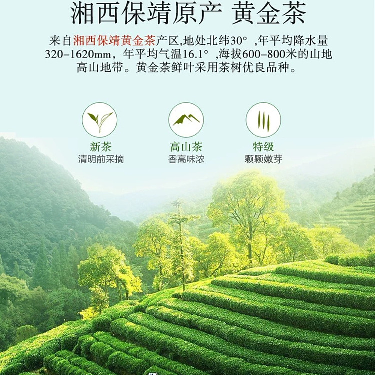 teashare-2025-new-tea-golden-tea-80g-3