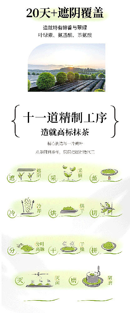 tea-sharing-your-tea-straight-portable-matcha-15g30-8