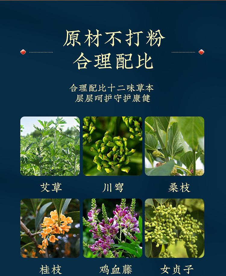 nanjing-tongrentang-zhenwan-ai-twelve-flavors-platoon-foot-soak-pack-30g10bags-3