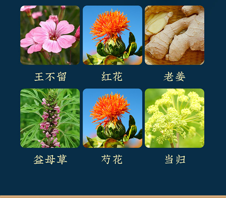 nanjing-tongrentang-zhenwan-ai-twelve-flavors-platoon-foot-soak-pack-30g10bags-4