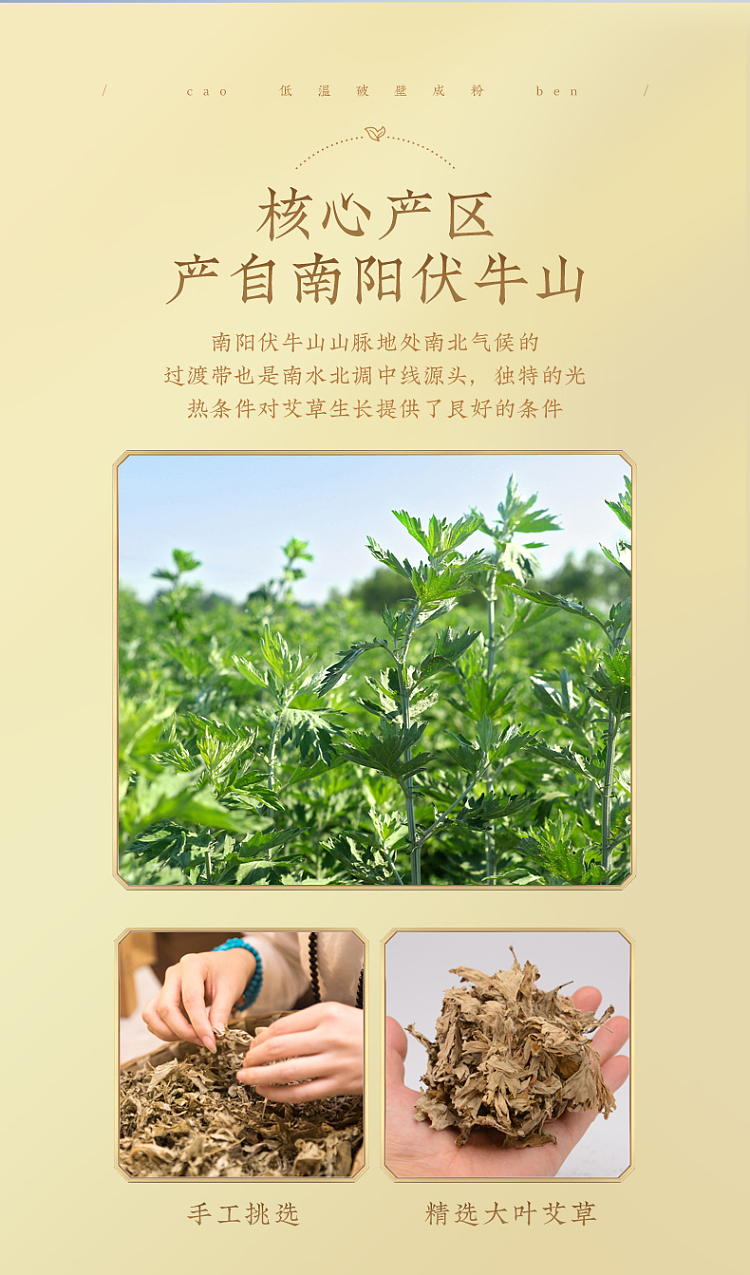 nanjing-tongrentang-zhenwan-ai-ai-herbal-foot-bath-pack-6g30pcs-4