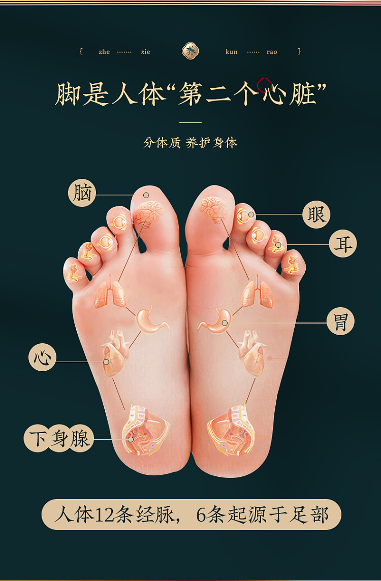 nanjing-tongrentang-zhenwan-ai-herbal-foot-soak-40ml10-bags-box-3