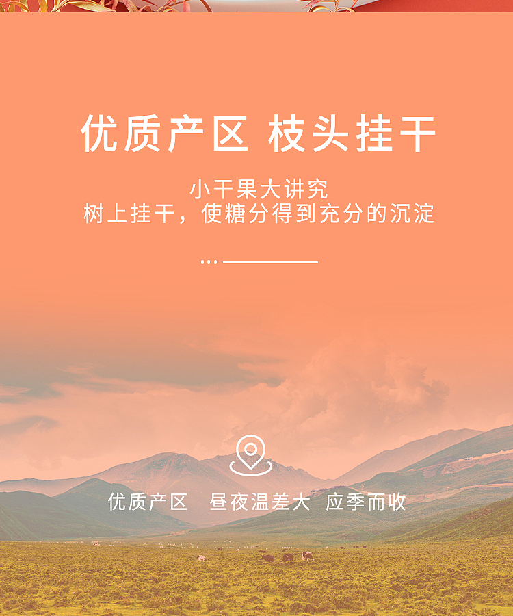 october-paddy-xinjiang-gray-dates-500g-6