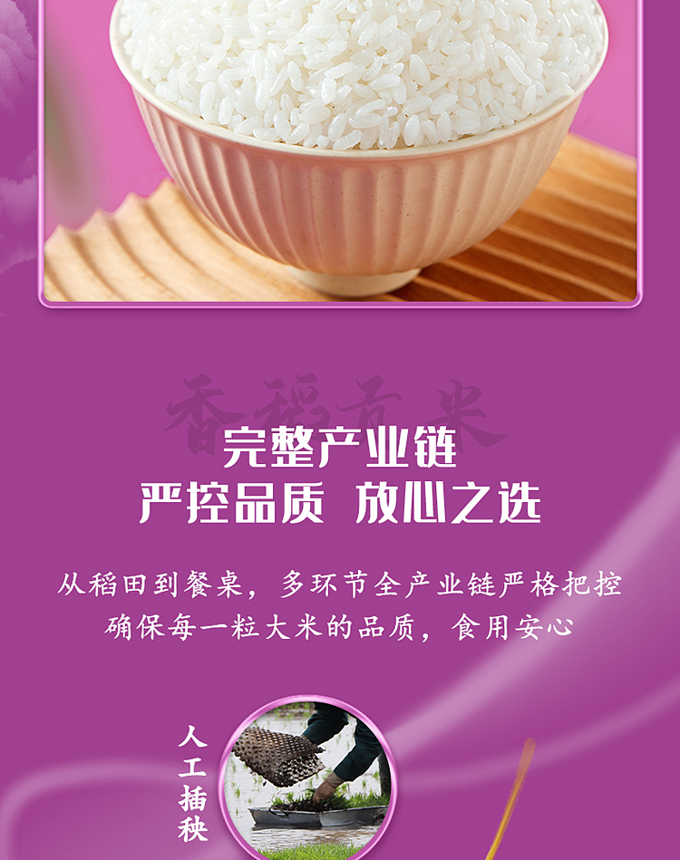 october-paddy-fragrant-rice-5kg-11