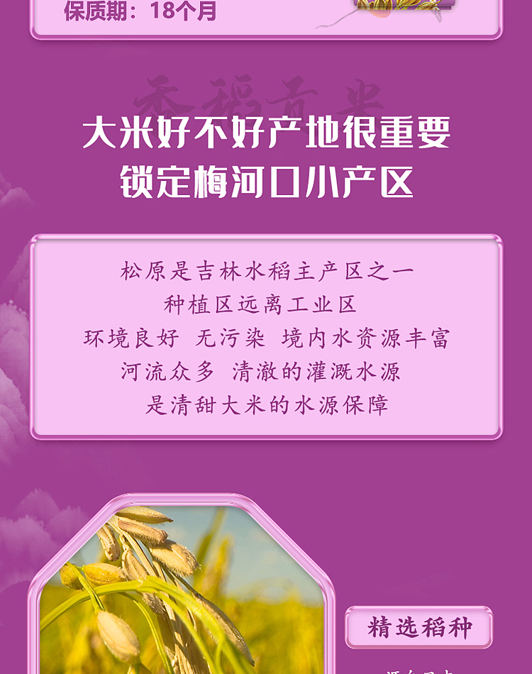october-paddy-fragrant-rice-5kg-6