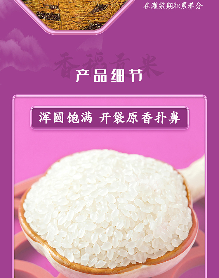 october-paddy-fragrant-rice-5kg-8