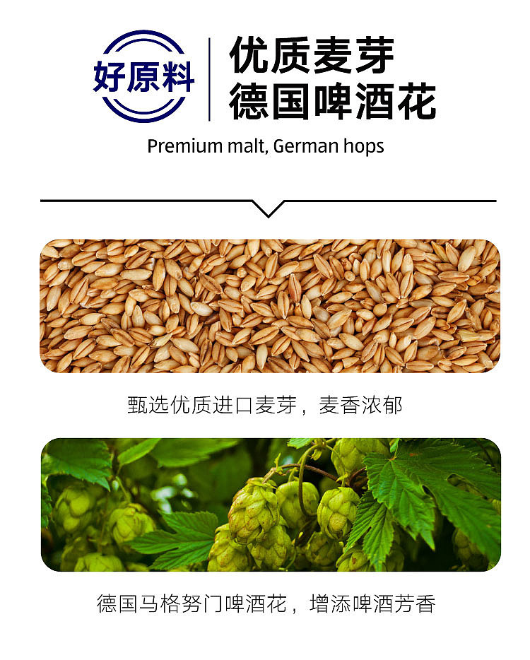 australia-exclusive-orazi-china-value-series-golden-wheat-lager-original-beer-500ml6-3
