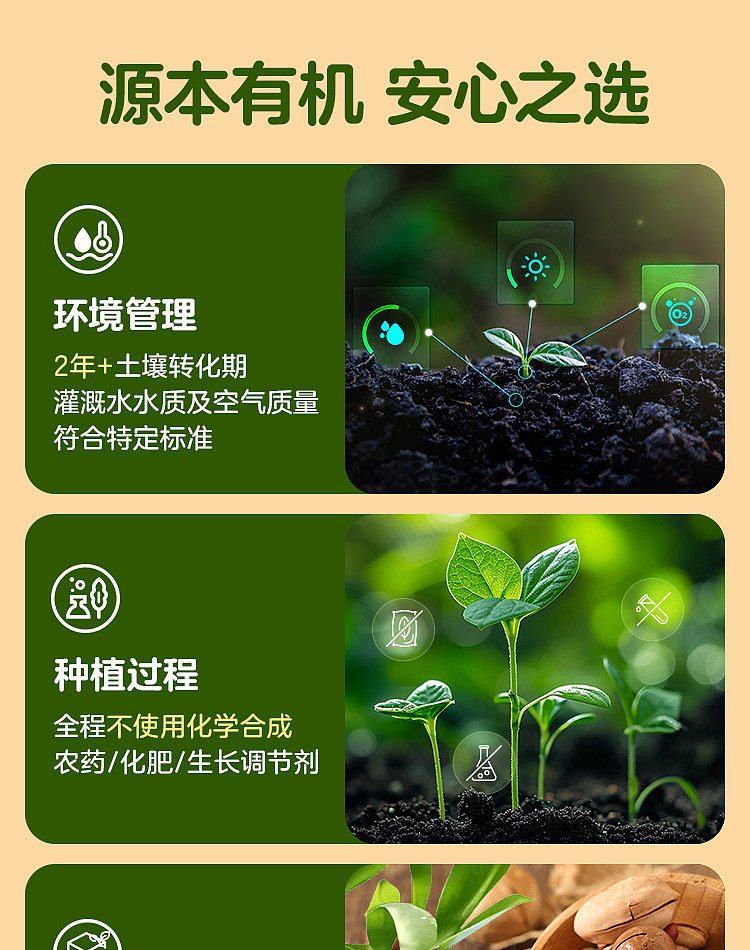 exclusive-to-all-australiawalmart-china-own-brand-fresh-collection-organic-chestnut-kernels-disney-collaboration-240g-1