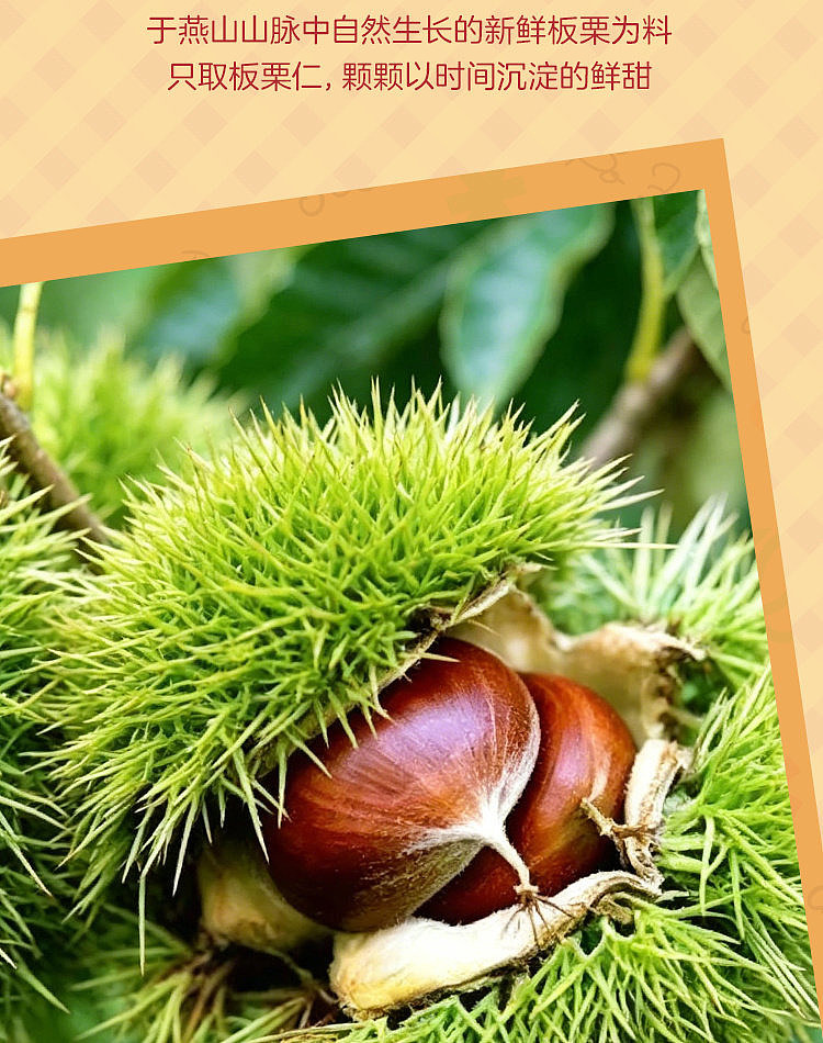 exclusive-to-all-australiawalmart-china-own-brand-fresh-collection-organic-chestnut-kernels-disney-collaboration-240g-5