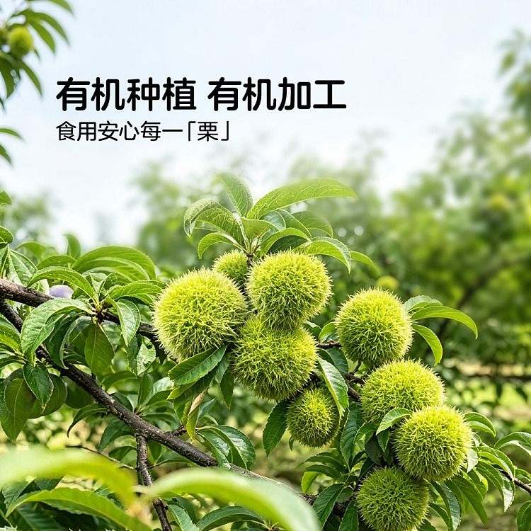 exclusive-to-all-australiawalmart-china-own-brand-fresh-collection-organic-chestnut-kernels-disney-collaboration-240g-4