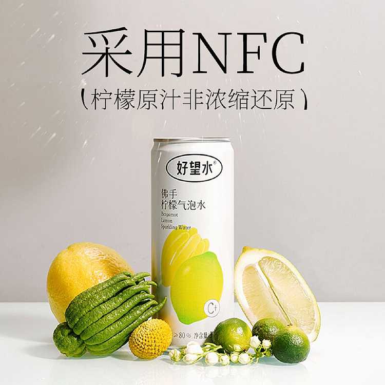full-casegood-hope-water-buddha-hand-lemon-sparkling-water-330ml24-bottles-case-2