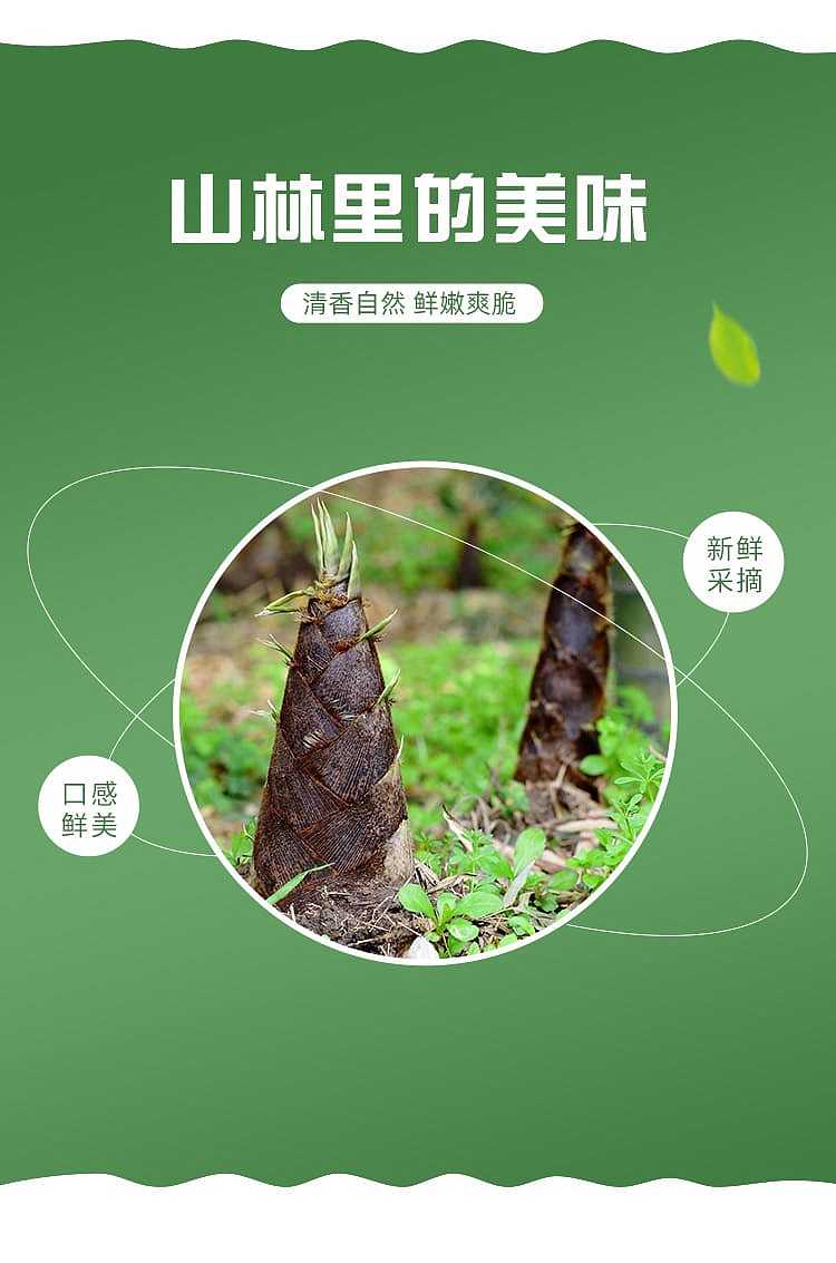 ten-years-have-become-bamboo-shoots-two-flavors-to-choose-200g-2