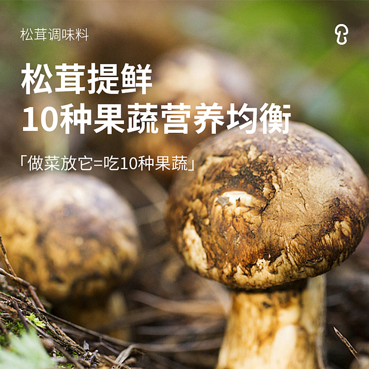 pine-fresh-matsutake-seasoning-100g-3