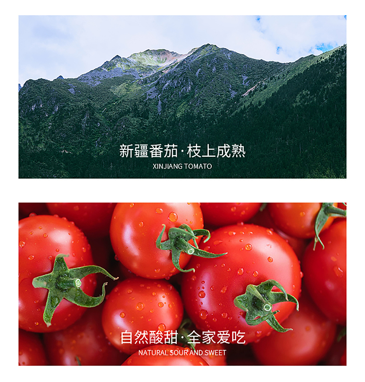 pine-fresh-tomato-sauce-245g-6