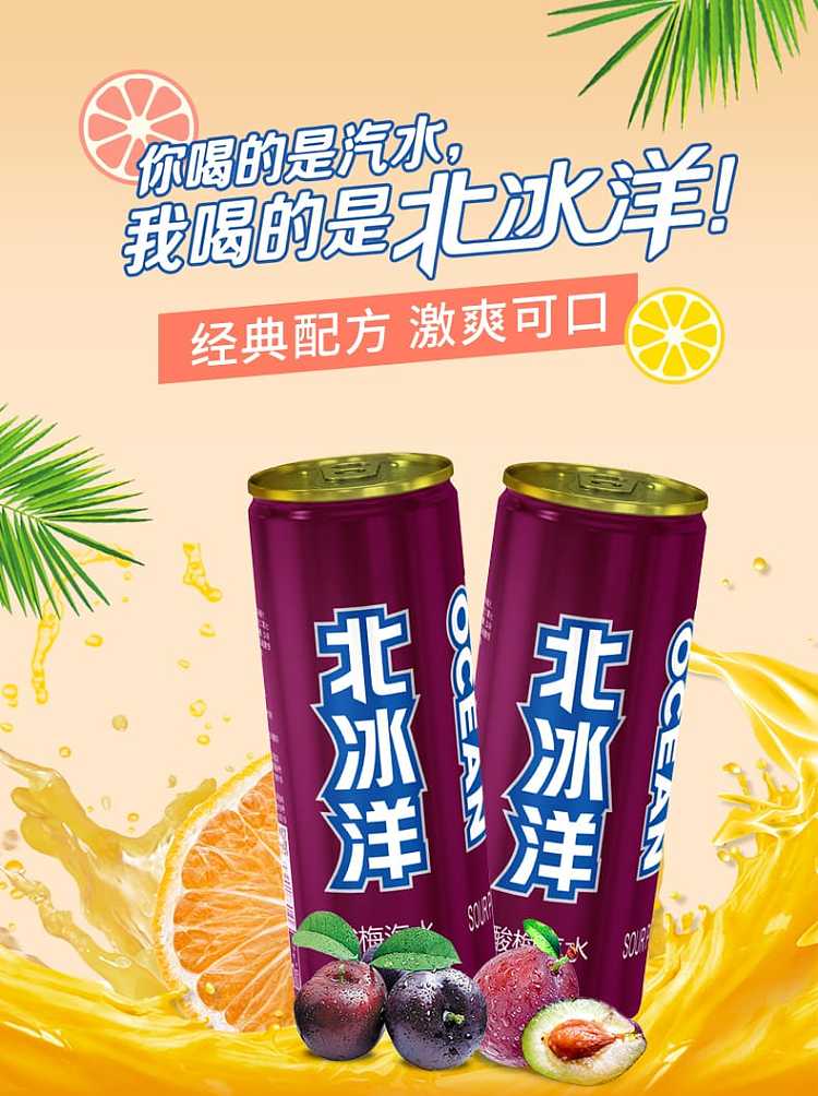 north-ice-age-sour-plum-soda-6pk330ml-1