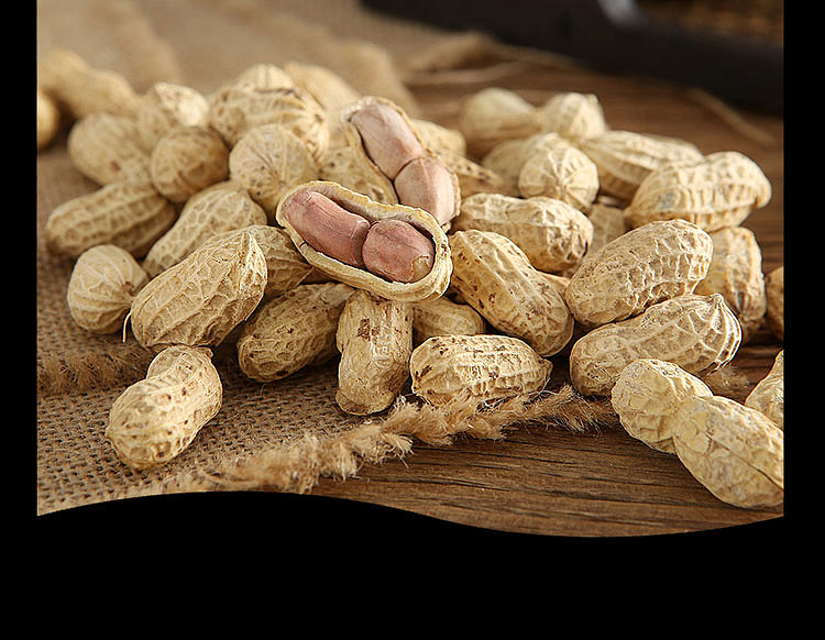 shengda-farm-pecan-flavored-peanuts-138g-21