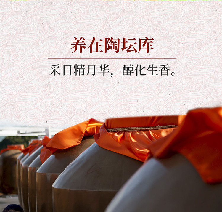 langjiu-honghuarang-ten-year-soy-sauce-white-wine-53-500ml-14