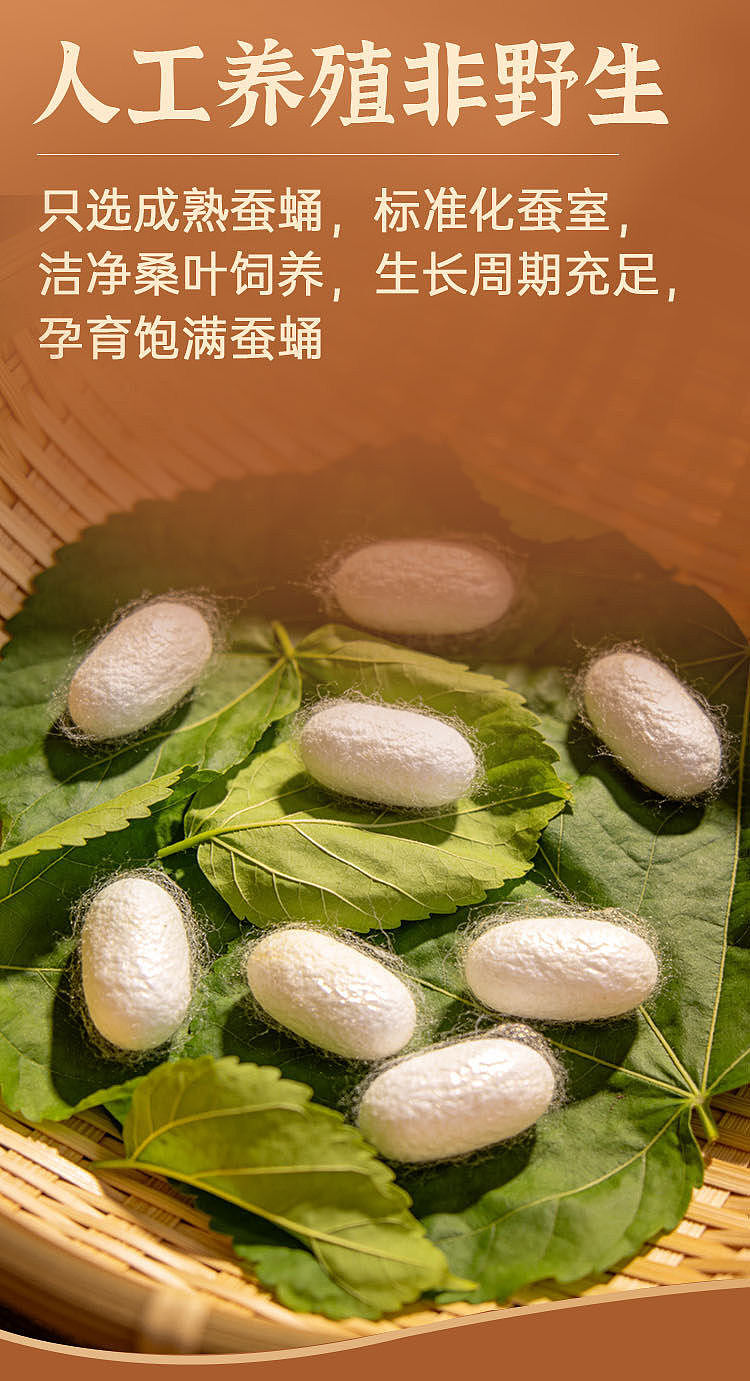 boxer-high-protein-crispy-chrysalis-pepper-salt-flavor-38g-7