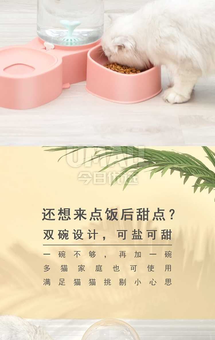 pakeway-janes-mangosteen-drinking-water-feeder-double-bowl-white-5