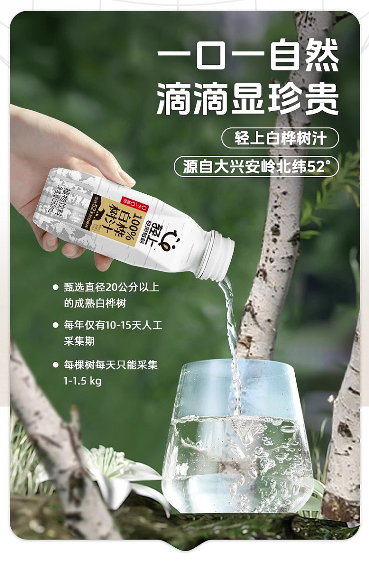 cartonlight-on-birch-juice-360ml15-4